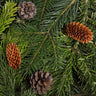A close-up image of evergreen branches with pine cones, representing the incense theme.